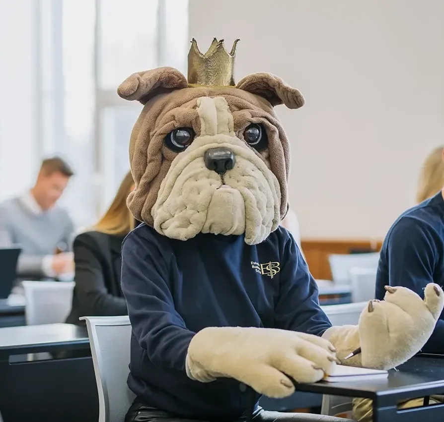 Mascot in classroom buldog.