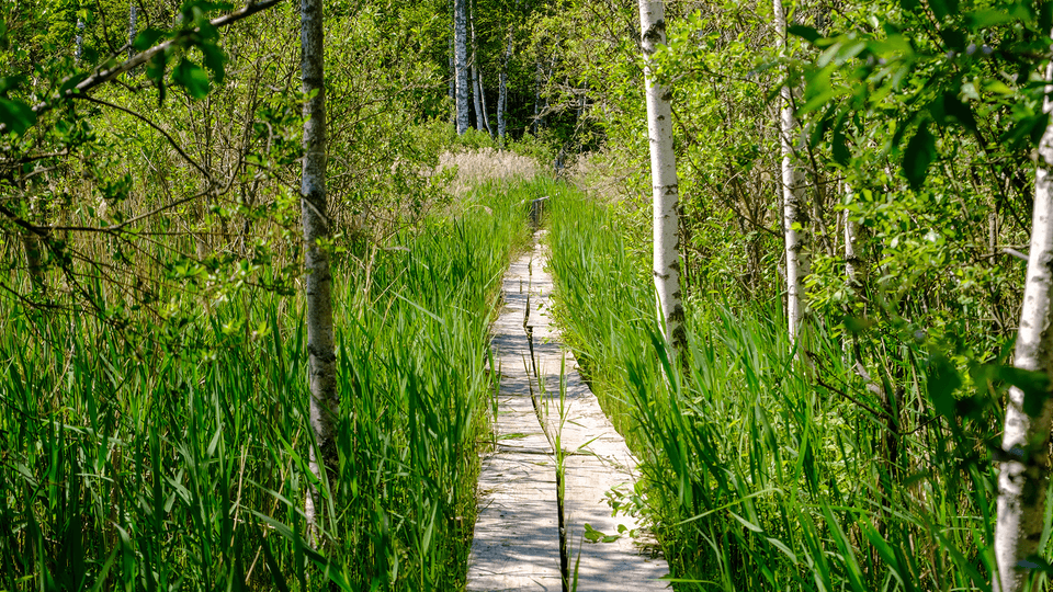 EBS Estonian Business School Life In Estonia